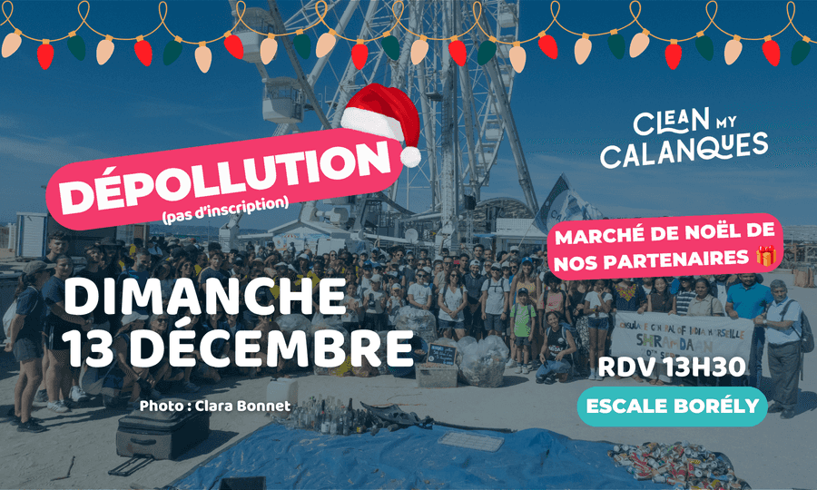 Image card Dépollution spéciale Marché de Noël 🎄