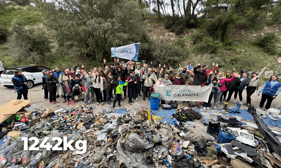 Image card Dépollution mensuelle