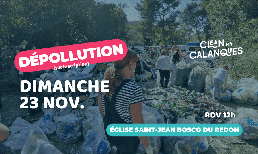 Image card Dépollution mensuelle