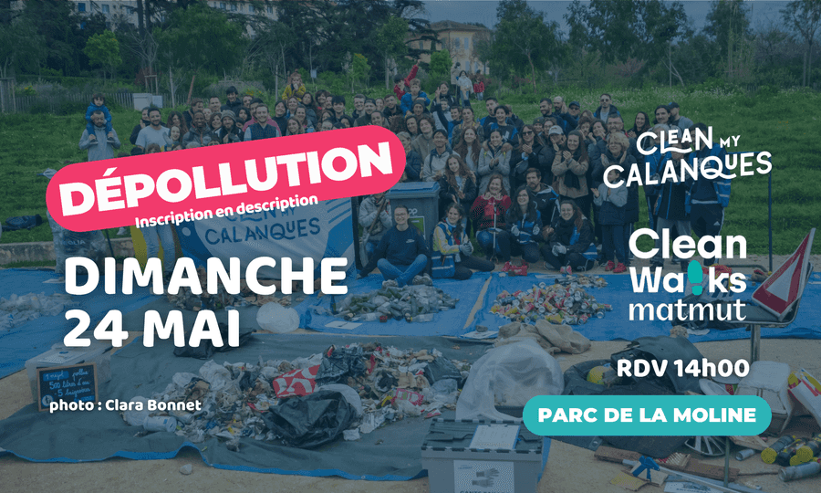 Image card Dépollution mensuelle x Matmut